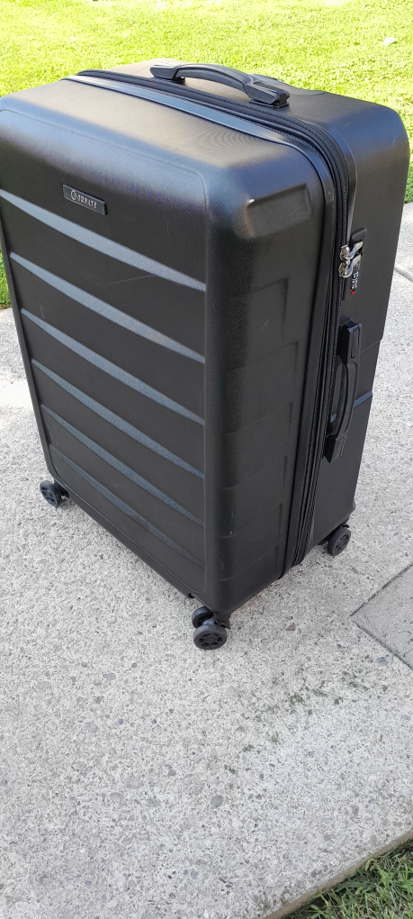 Checked baggage.  Luggage carrier