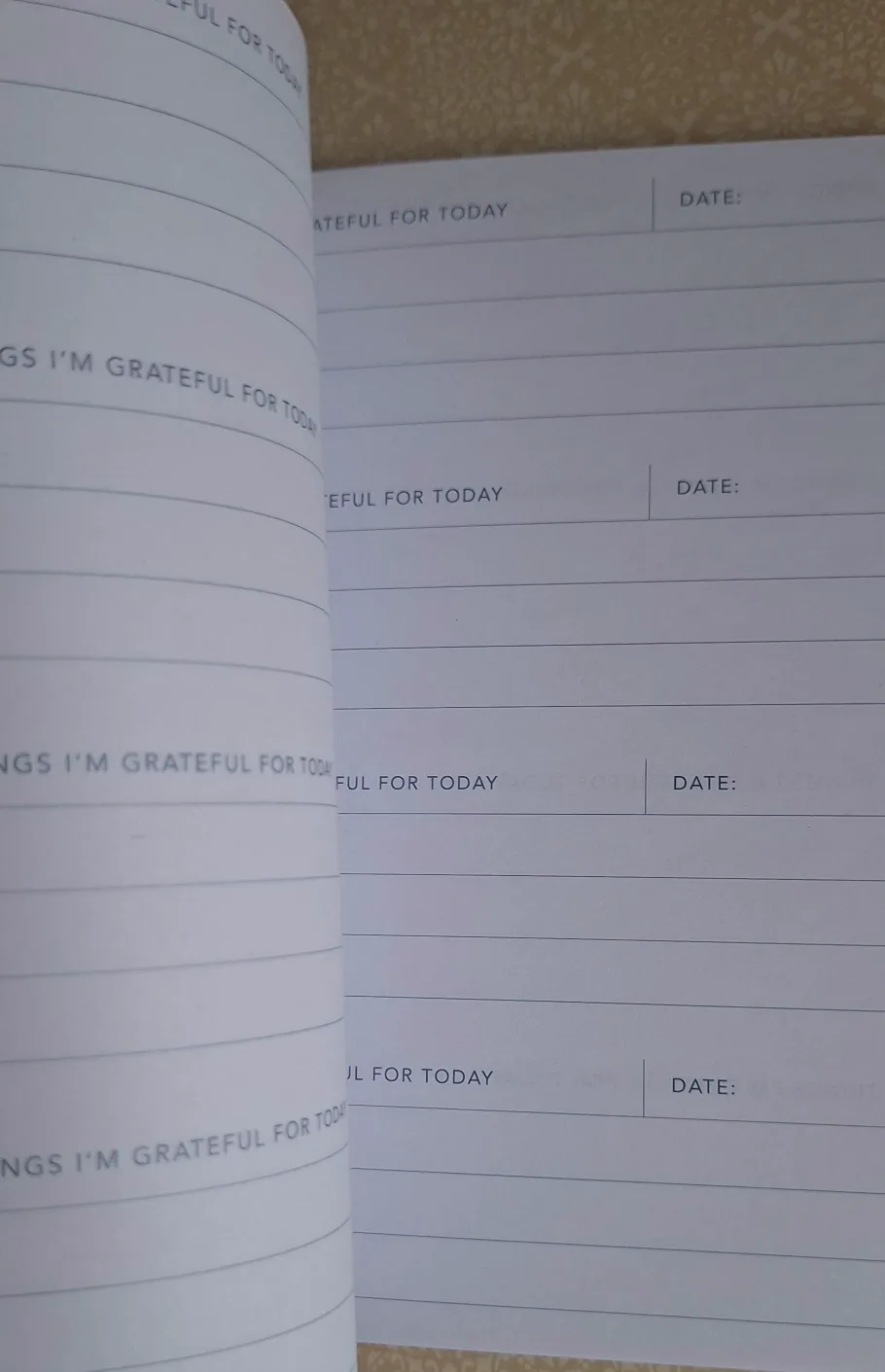 Gratitude Journal & Guided Journal image indicator(6)