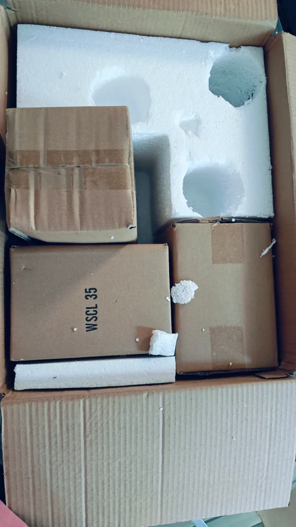 New WSCL 35 Flush Mount Ceiling Light image indicator(5)