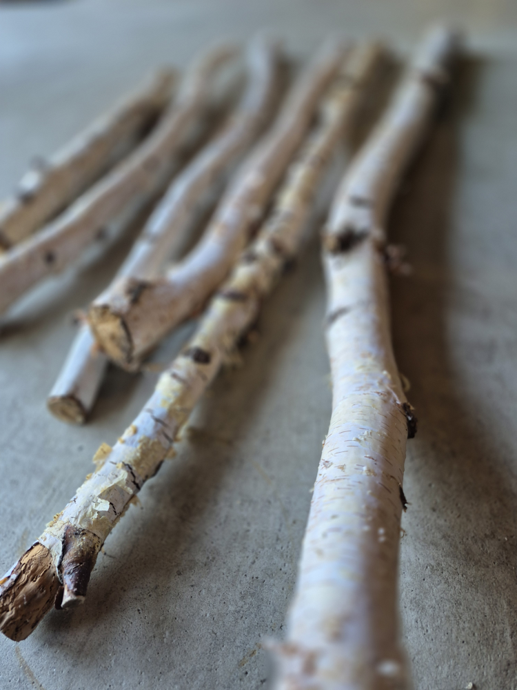 Beautiful White Birch Branches - natural - photo 2