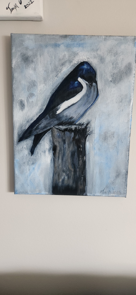 Painting of a Barn sparrow