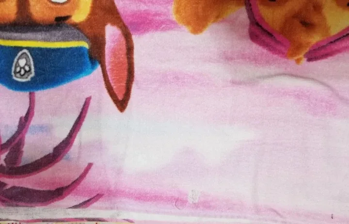 Paw Patrol Beach Towel 🧡 image indicator(4)