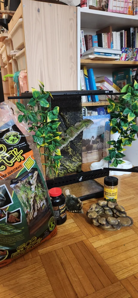 Exo Terra Mini Terrarium 12 x 12 x 18 with accessories image indicator(3)