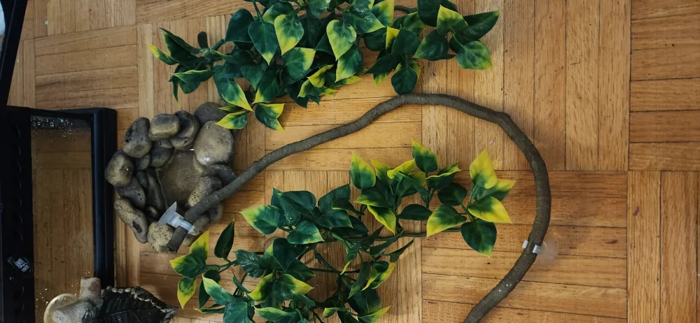 Exo Terra Mini Terrarium 12 x 12 x 18 with accessories image indicator(6)