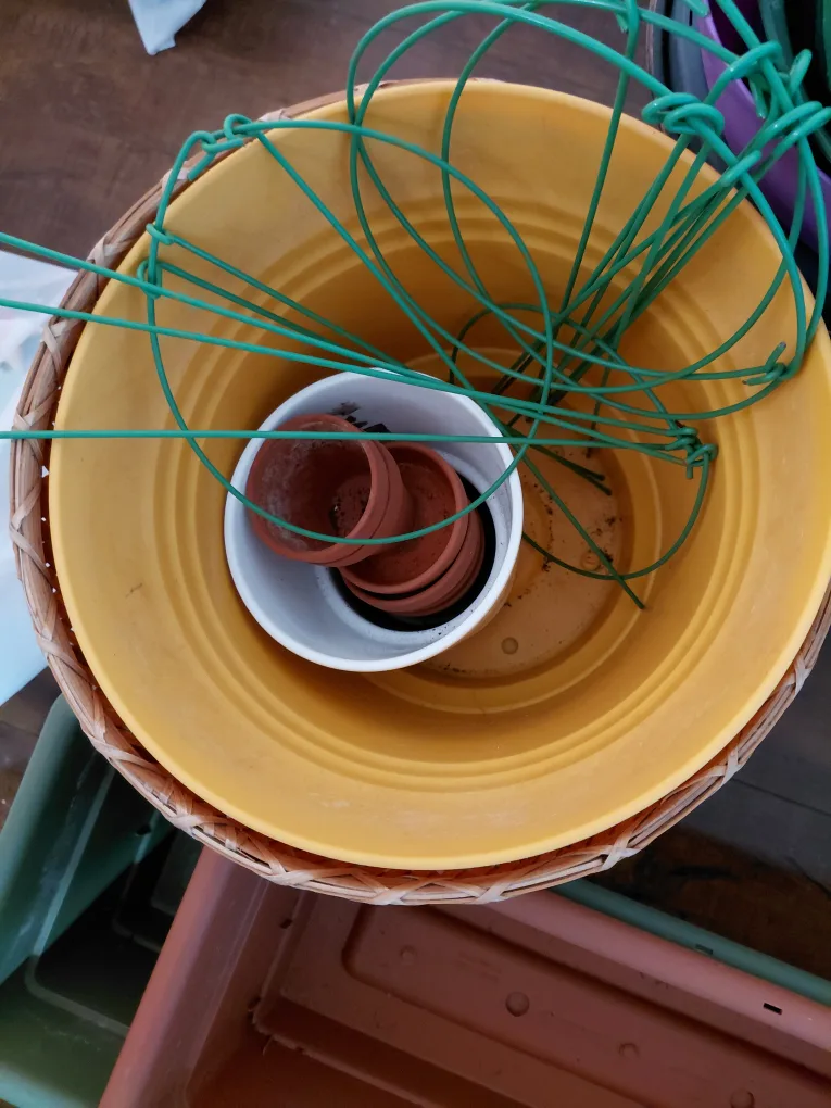 TODAY ONLY: Massive haul of garden implements + pots image indicator(6)