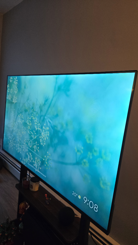 TCL 50S450G-CA 50" 4K UHD HDR Smart TV