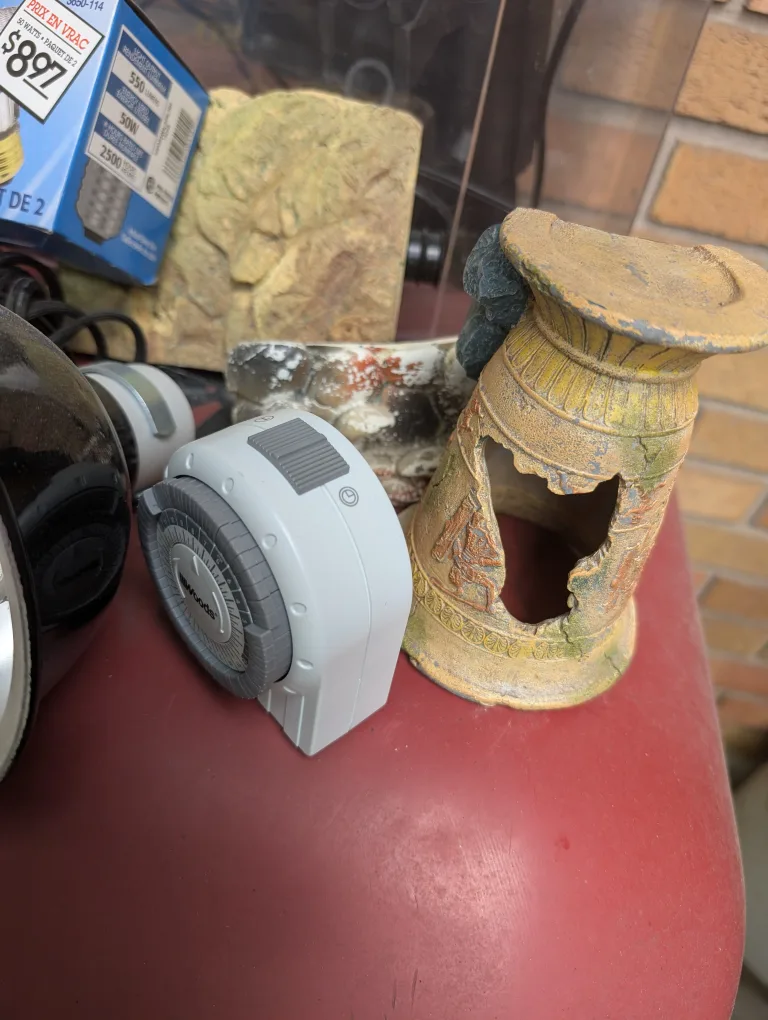 Fish Tank with Accessories image indicator(3)