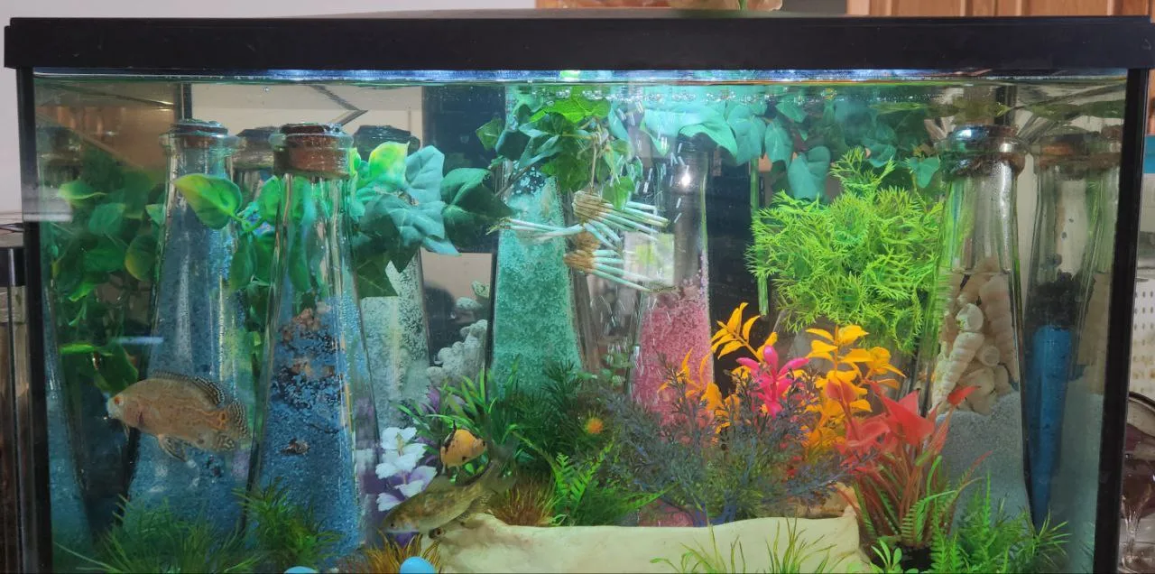 10 gallon aquarium thumbnail