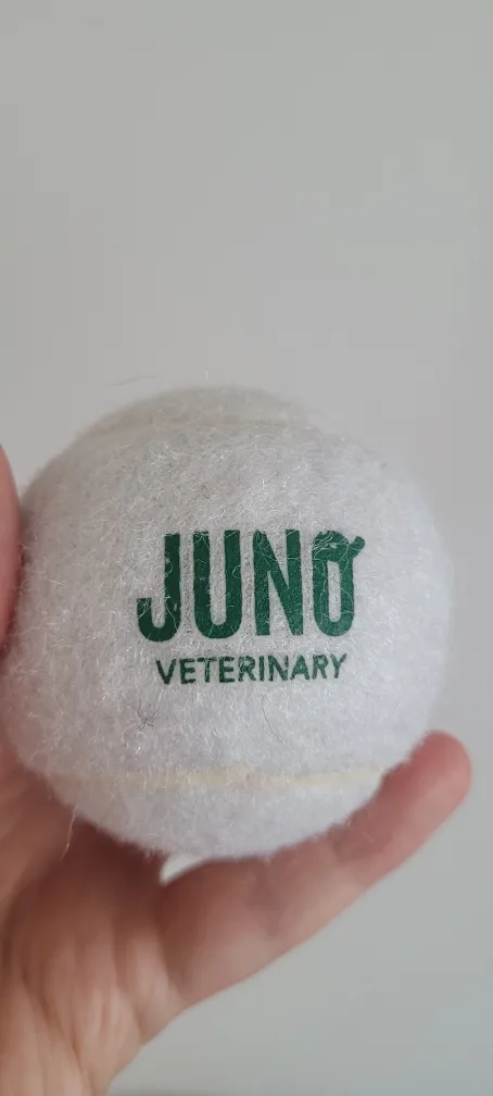 Juno Veterinary Tennis Ball thumbnail
