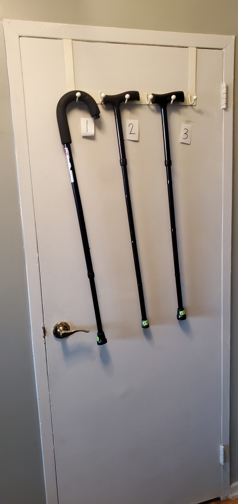 Walking Sticks and White Cane - photo 3