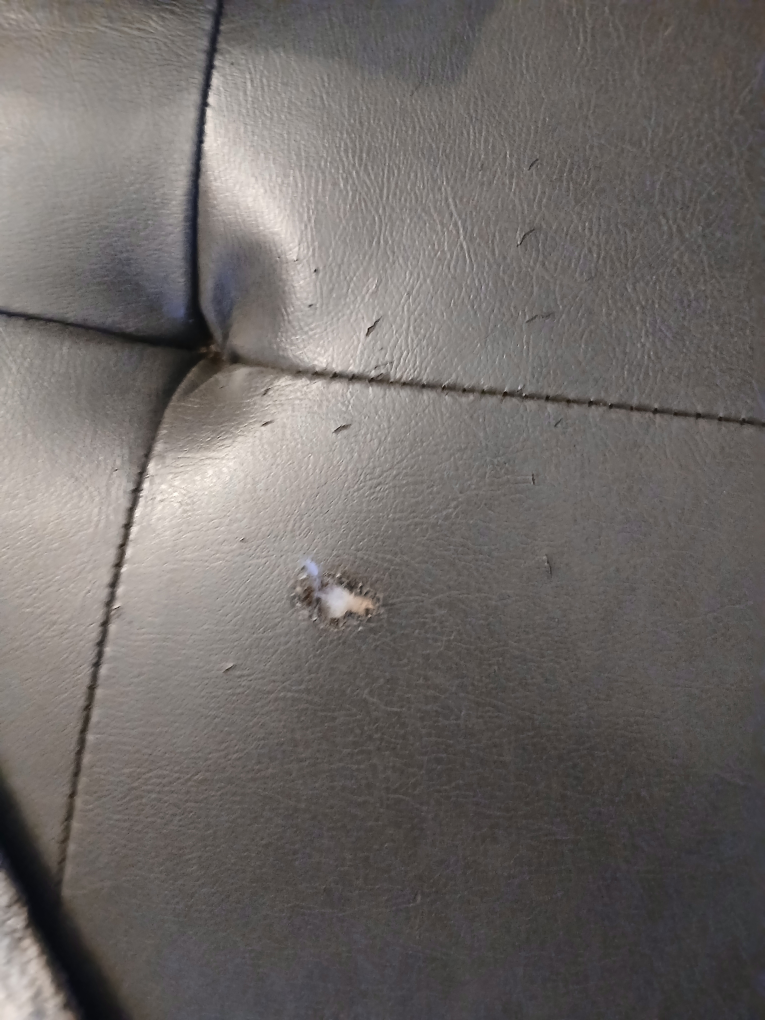 free Leather sectional sofa - photo 4