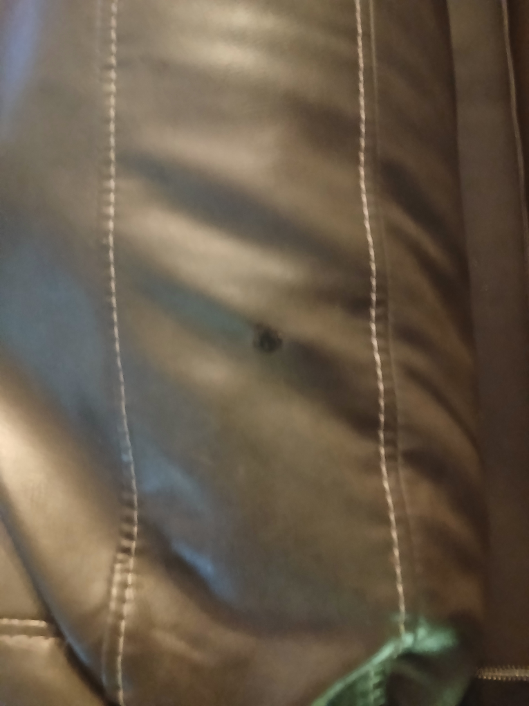 free Leather sectional sofa - photo 5