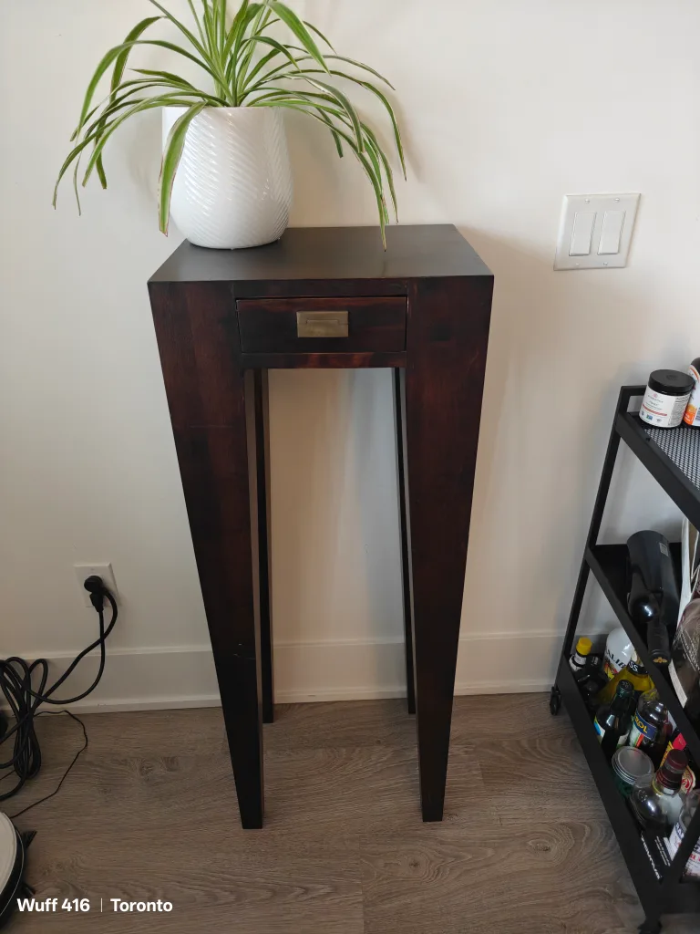 Tall EntryWay Table image indicator(2)