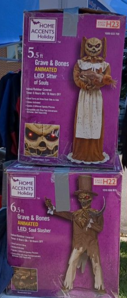 Home Accents Holiday Animated LED Grave & Bones