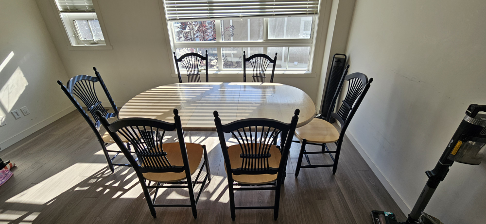 The all wood dining table and 6 chairs