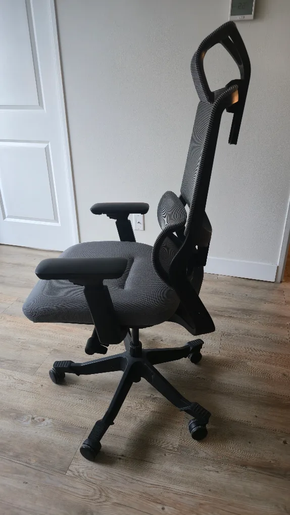 FlexiSpot Ergonomic Office Chair Mesh Chair 3D Lumbar Support image indicator(2)