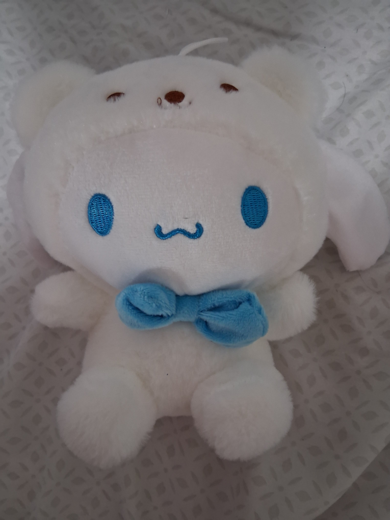 New Stuffed Cinnamoroll !!