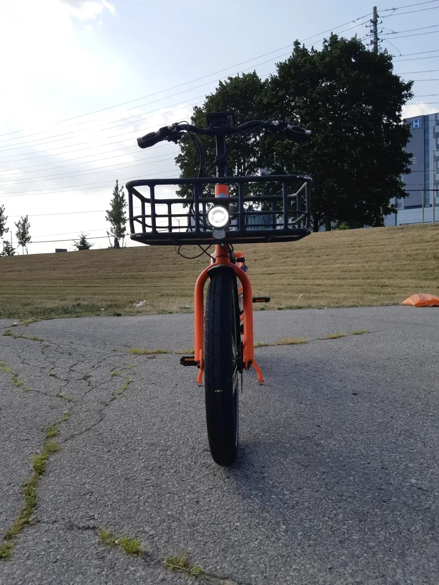 Rad Power Bikes RadWagon 4 Electric Cargo Bike image indicator(2)