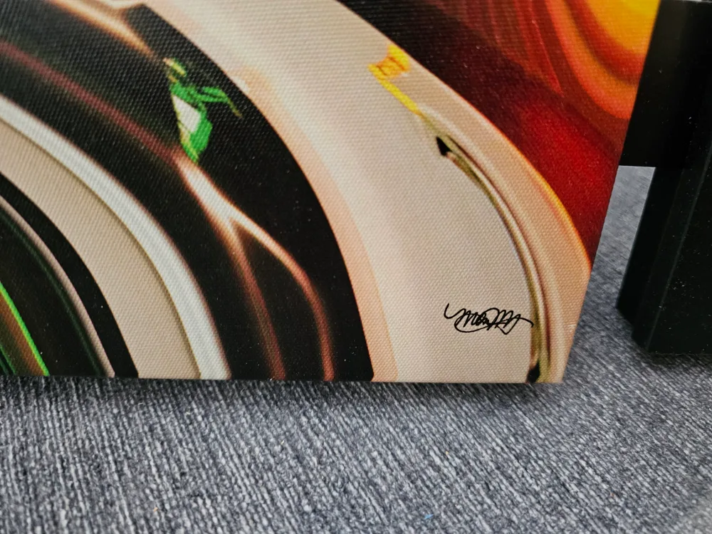 Abstract Canvas Wall Art image indicator(2)