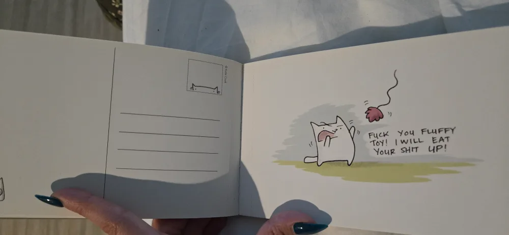 F You, Box by Katie Cook (Postcard book) image indicator(2)