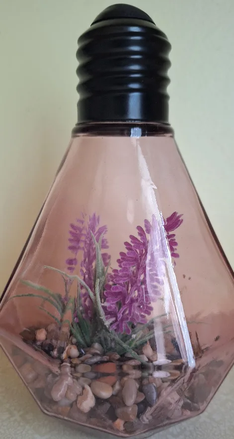 2 Decorative Lightbulb Terrariums thumbnail