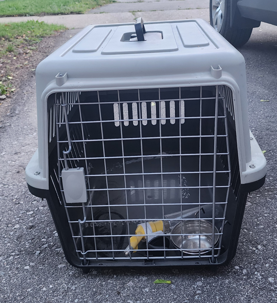 Large Pet Carrier (Grey and Black)