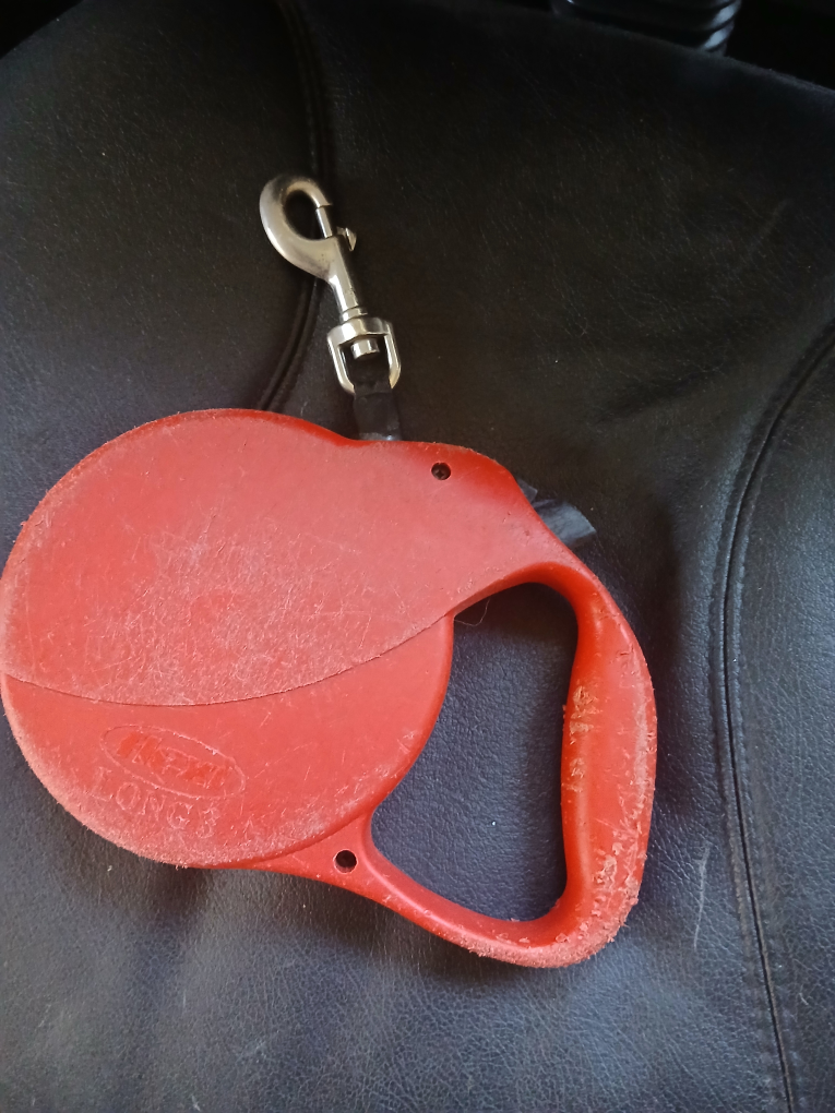 Flexi Long 3 Retractable Dog Leash