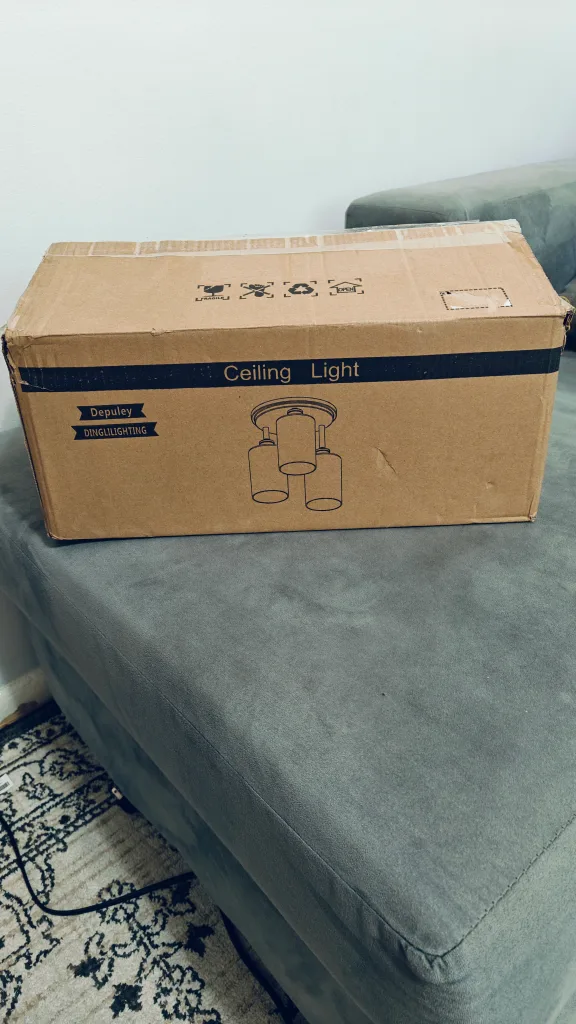 New WSCL 35 Flush Mount Ceiling Light image indicator(6)