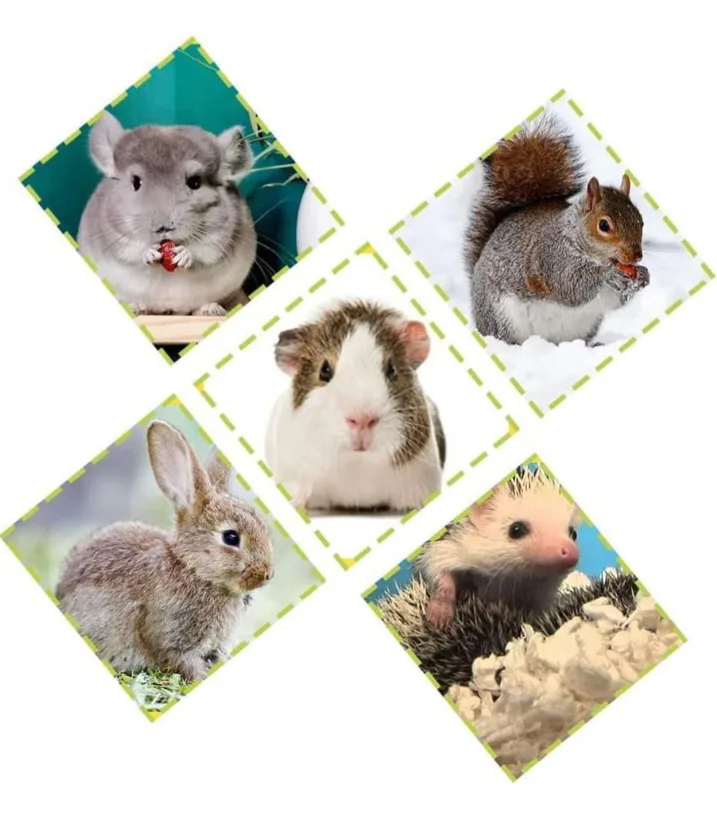 NEW!   Hamster Sand Bathroom image indicator(3)