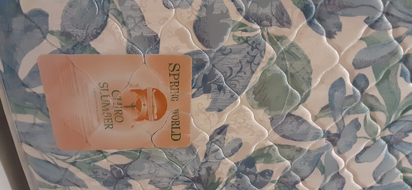Spring World Chiro Slumber Mattress