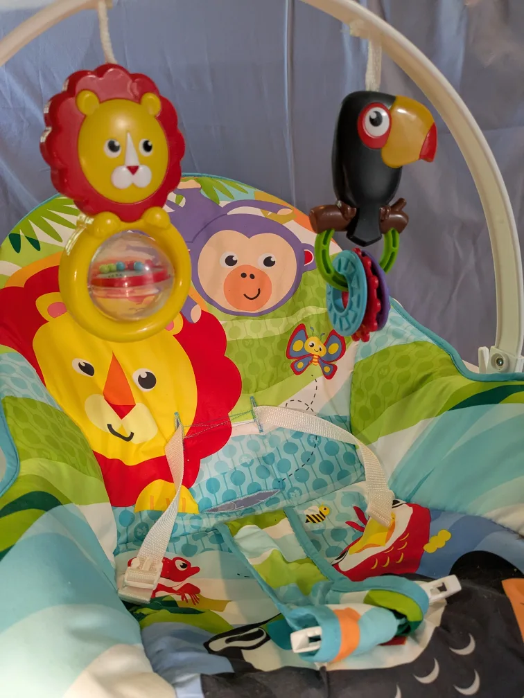 Fisher-Price Infant-to-Toddler Rocker image indicator(3)