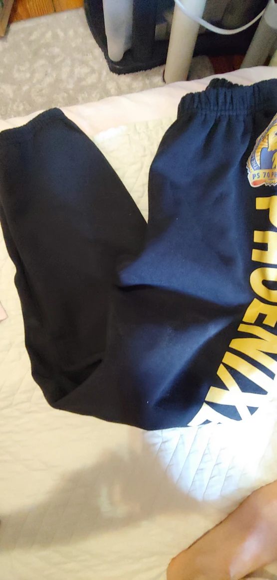 PS 70 Phoenixes School Uniform Set - photo 2
