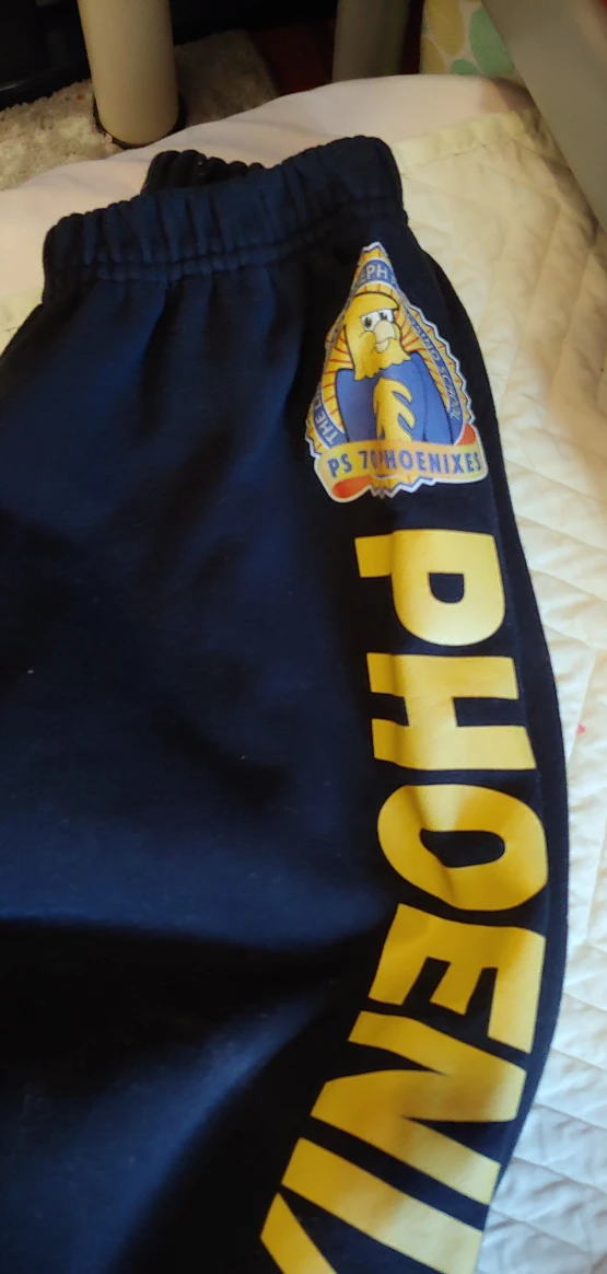 PS 70 Phoenixes School Uniform Set - photo 3
