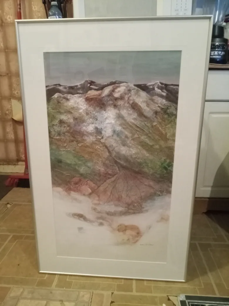 Lynne Grillmair "Alluvial Fan" Framed Art thumbnail