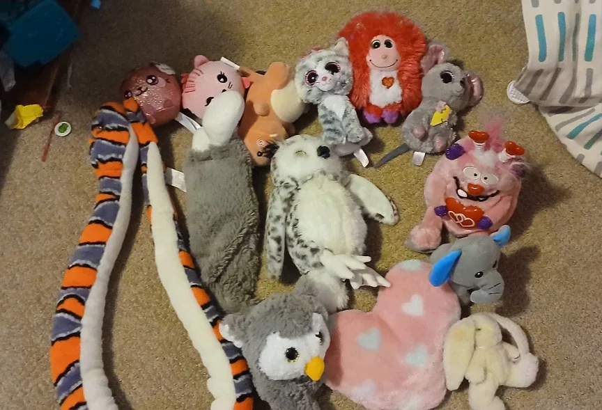 Lot of assorted Plush Toys thumbnail
