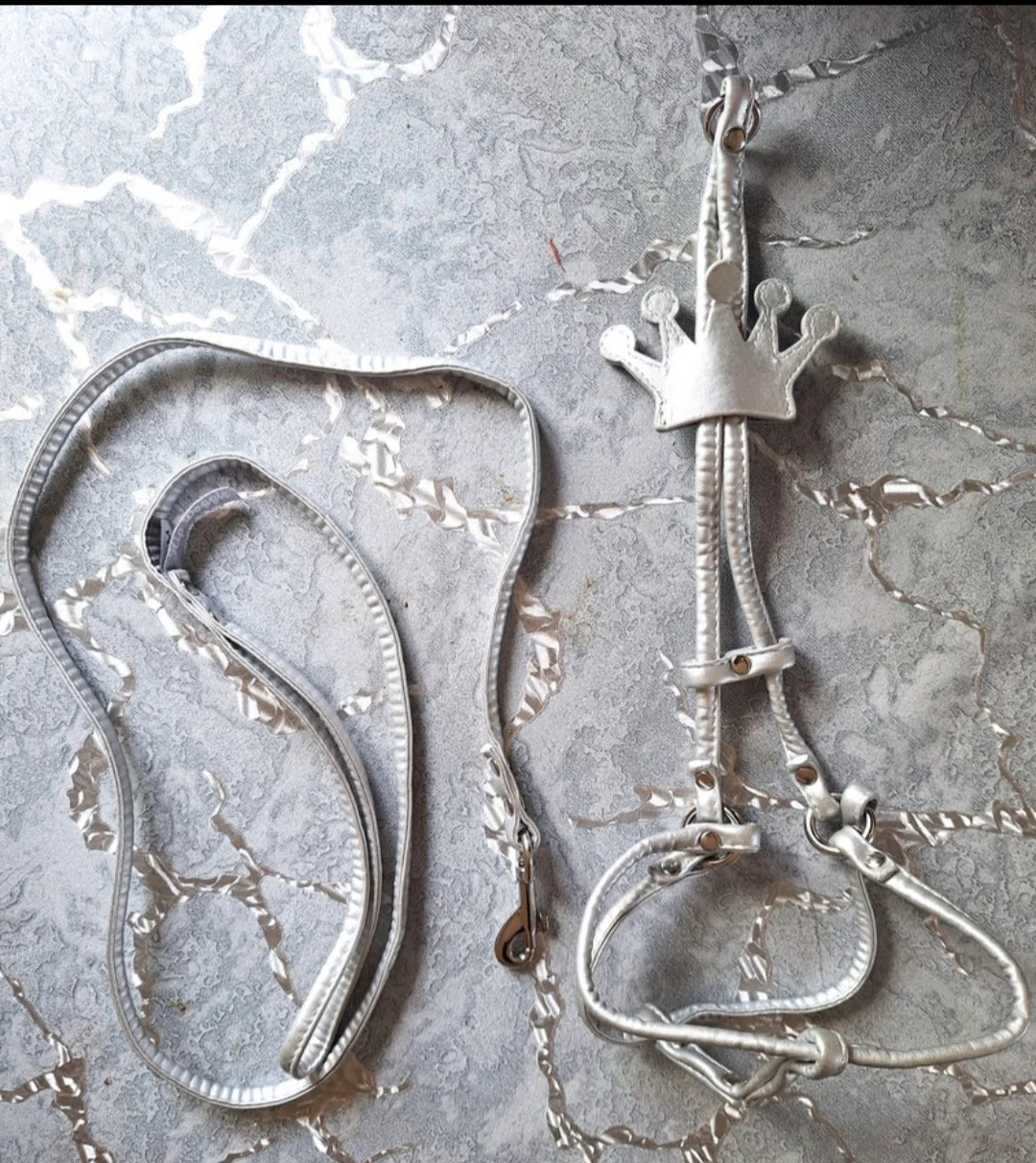 Lot of 3 Dog Rain Coat, Black Puffer Coat & Harness with Leash image indicator(9)