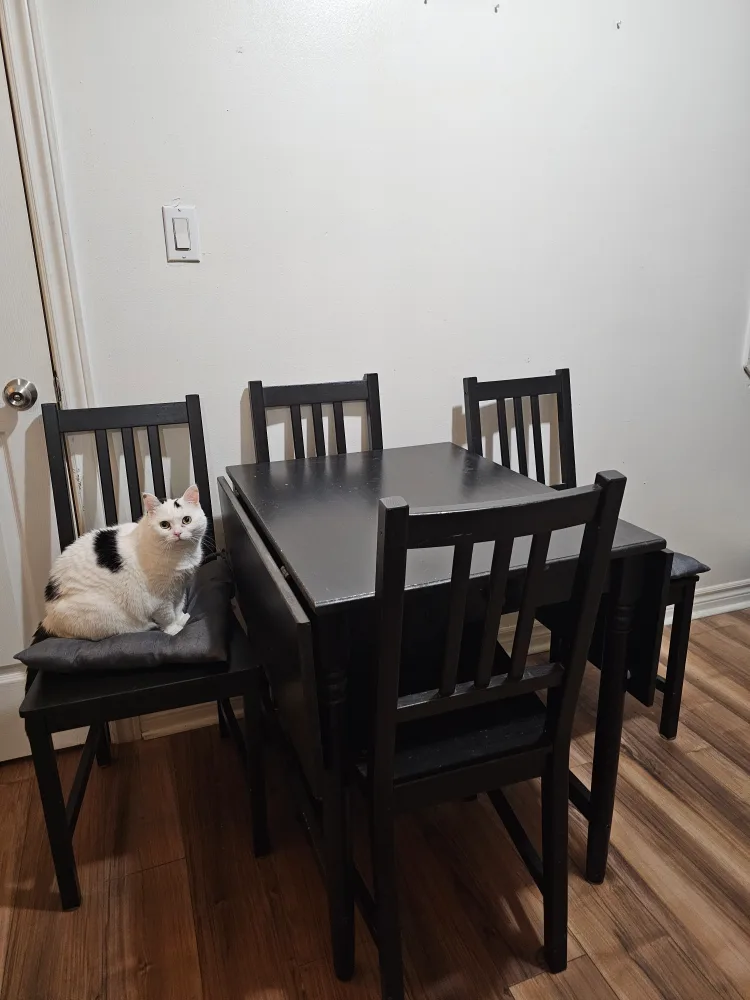 Black Dining Table with Four Chairs image indicator(6)