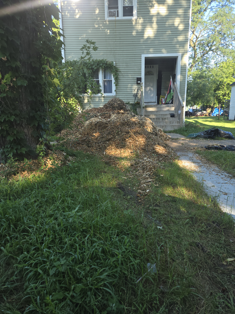 woodchips for sale