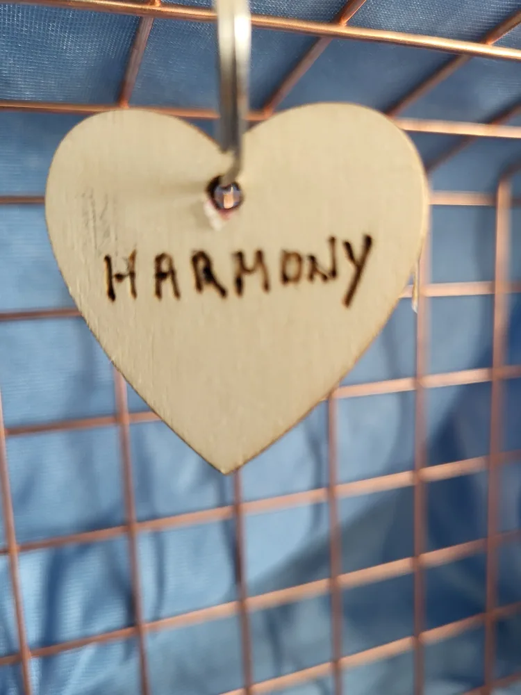 Wood Keychains 4 image indicator(8)