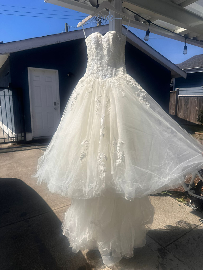Wedding Dress - Elegant & Beautiful (Size 0-2) XS-S - photo 2