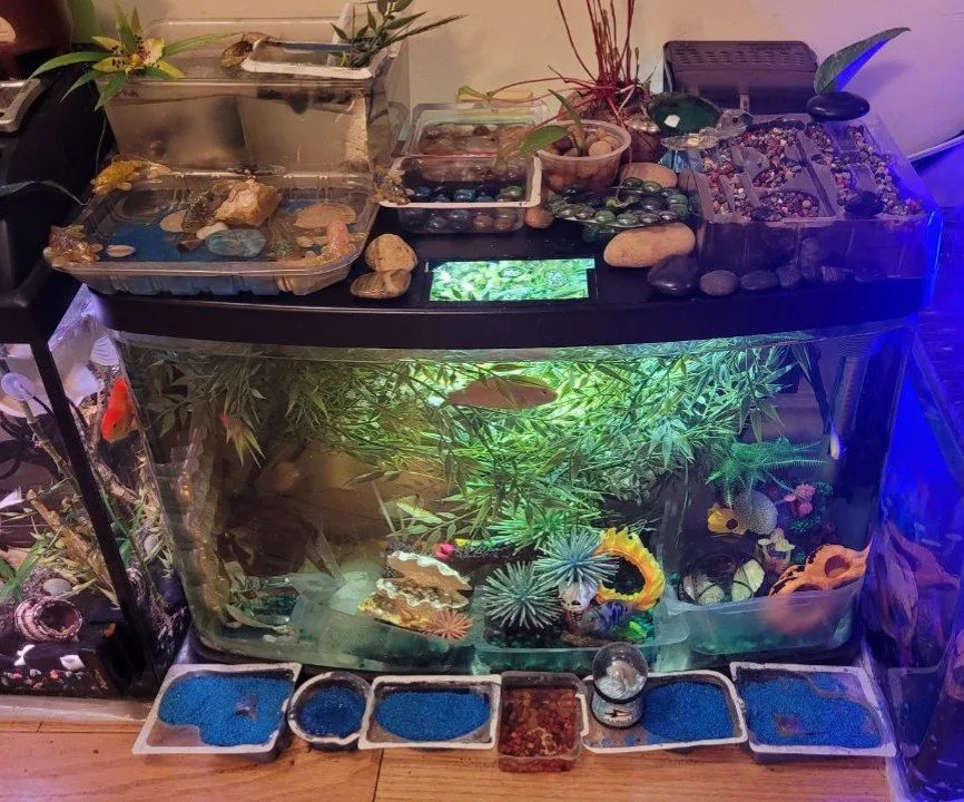 17 Gallons Aquarium thumbnail