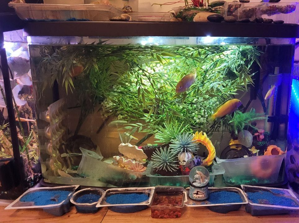 17 Gallons Aquarium - photo 2