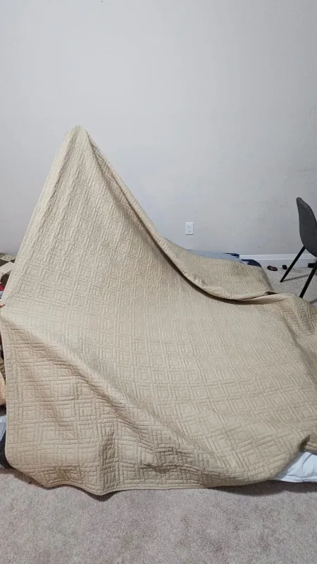 light brown Blanket thumbnail
