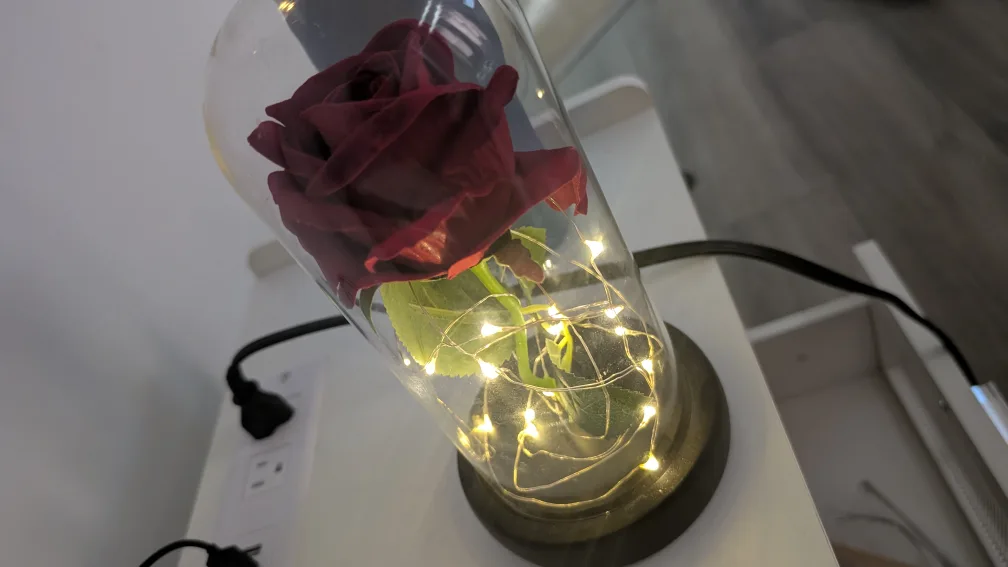 Enchanted Rose in Glass Dome thumbnail