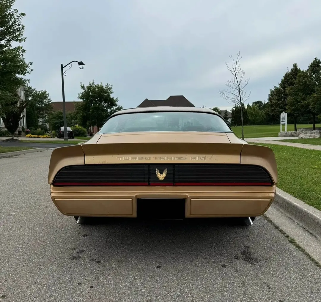 1981 Turbo Trans Am 4.9L, Beautifully Maintained image indicator(3)