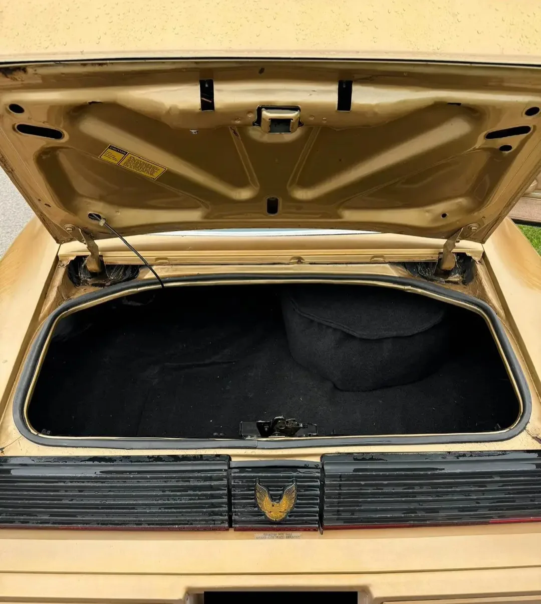 1981 Turbo Trans Am 4.9L, Beautifully Maintained image indicator(4)