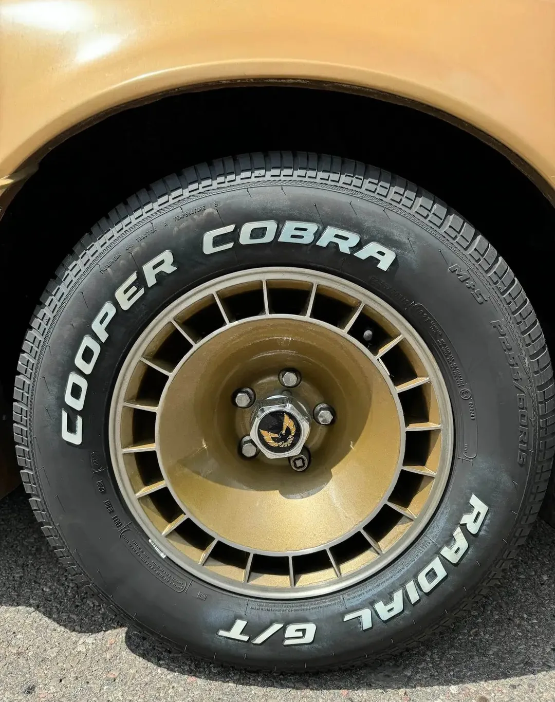 1981 Turbo Trans Am 4.9L, Beautifully Maintained image indicator(8)