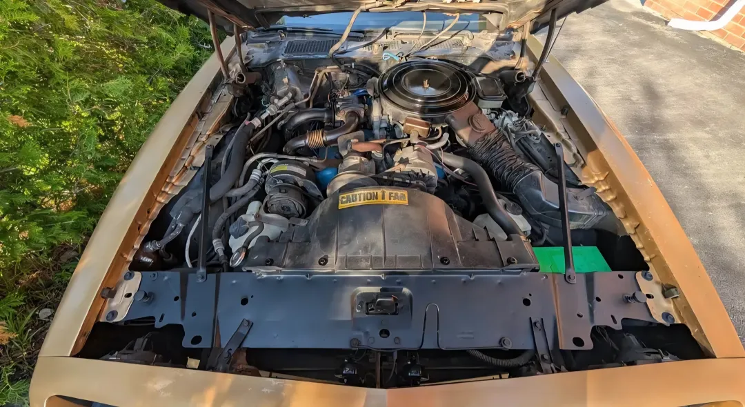 1981 Turbo Trans Am 4.9L, Beautifully Maintained image indicator(9)