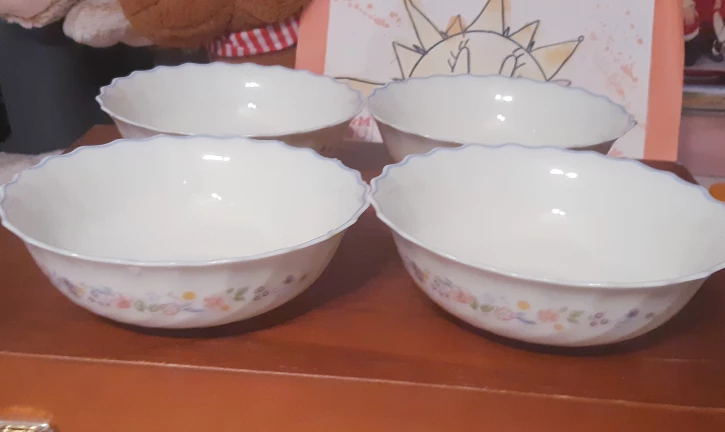 Arcopa France Bowls - Set of 4