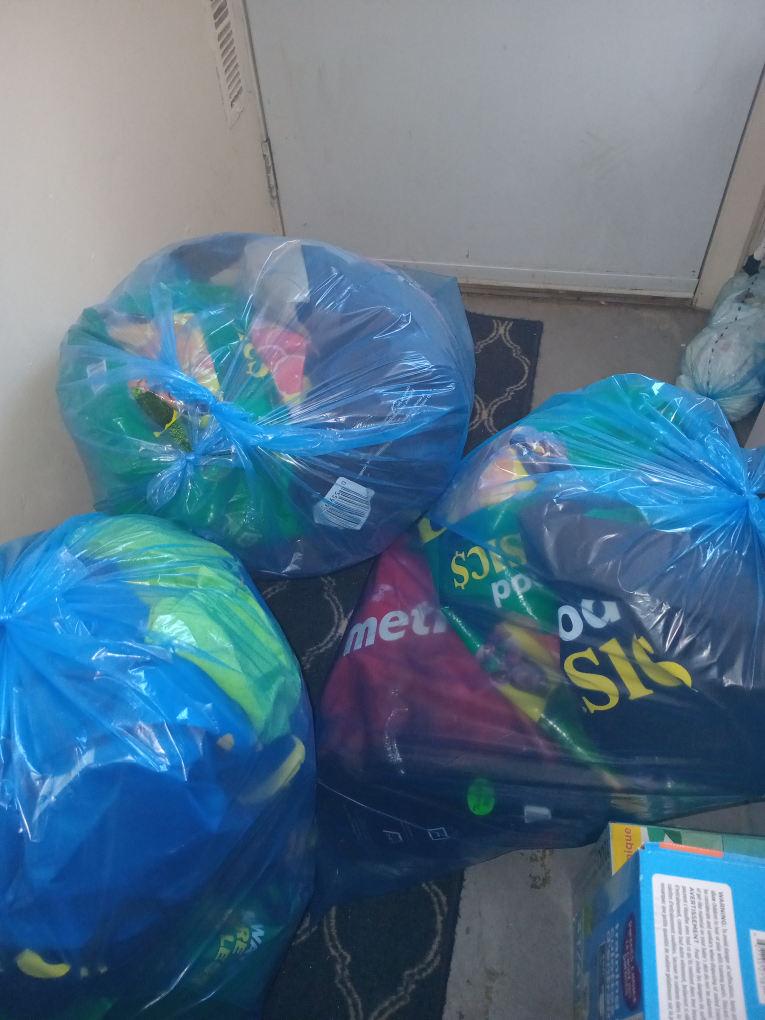 Bag of Grocery bags
